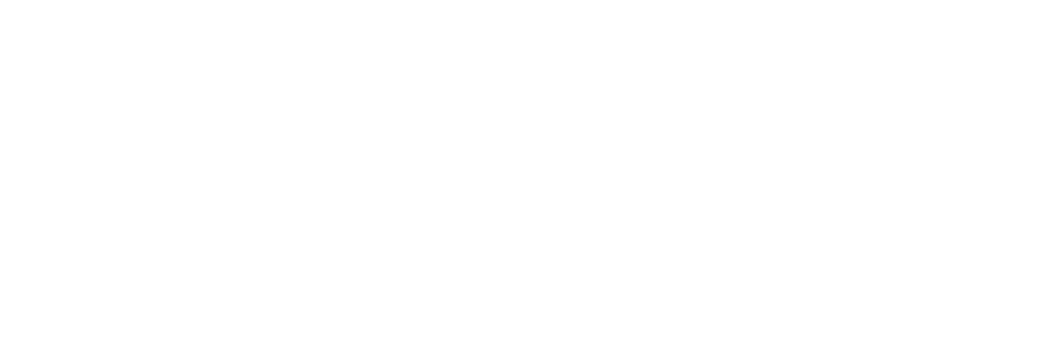 Biirdee